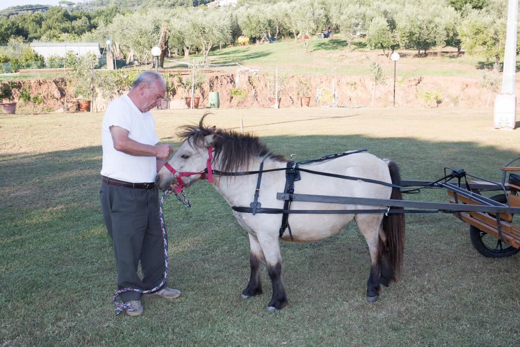 Agriturismo Poggetto Larciano Ngoại thất bức ảnh